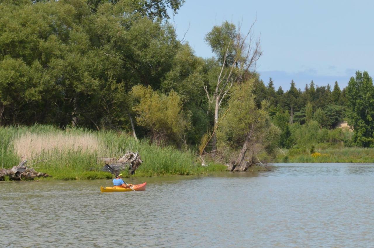 Cozy Cottage Retreat Lambton Shores Екстер'єр фото